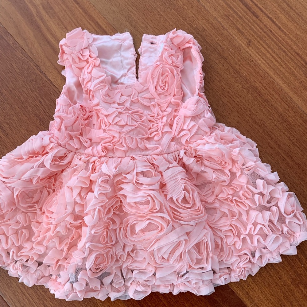 Cat and jack pink rose dress